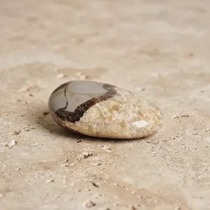 Galet de Septaria – Pierre naturelle pour ancrage émotionnel