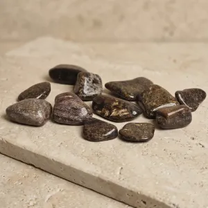 Pierres Bronzite Roulées – Stabilité émotionnelle et confiance