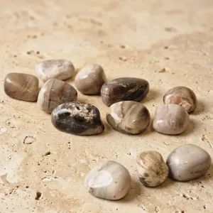 Pierre roulée en bois fossil – Ancrage et connexion