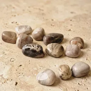 Pierre roulée en bois fossil – Ancrage et connexion