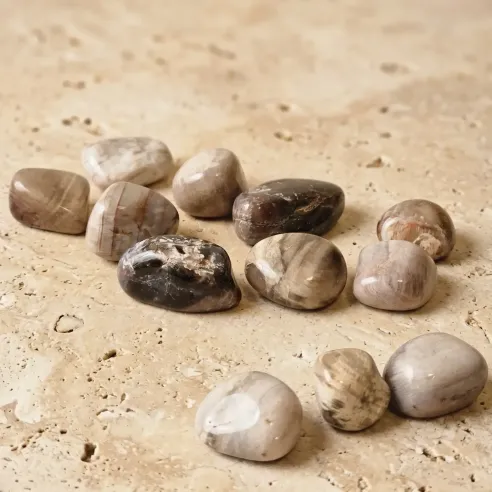 Pierre roulée en bois fossil – Ancrage et connexion