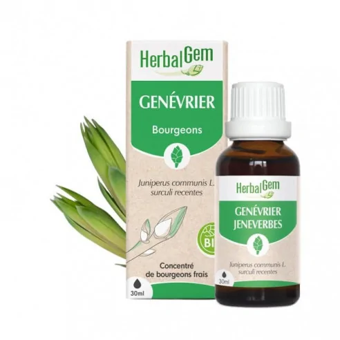 Bourgeon genévrier 30 mL – gemmothérapie détox foie Herbalgem