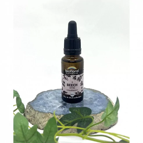 N°3 Beech – Biofloral | Tolérance & Bienveillance