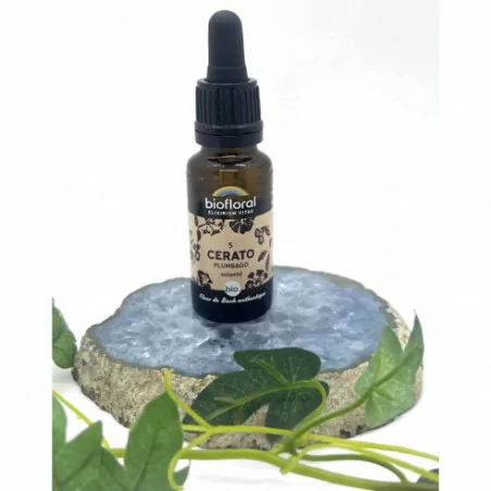 N°5 Cerato – Biofloral | Intuition & Confiance intérieure