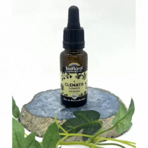 N°9 Clematis – Biofloral | Présence & Concentration