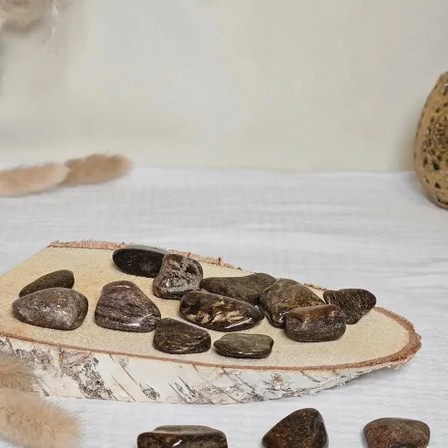 Pierres Bronzite Roulées – Stabilité émotionnelle et confiance