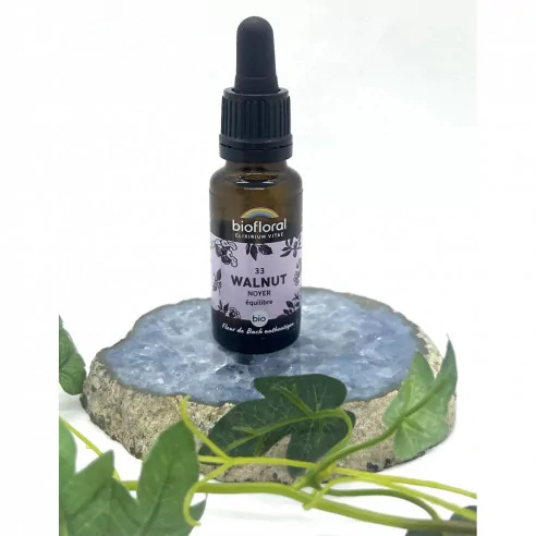 N°33 Walnut – Biofloral | Changement & Protection