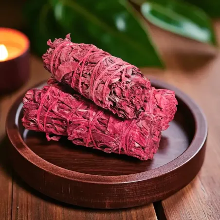 Sauge Blanche et Sang de Dragon – Purificateur Puissant