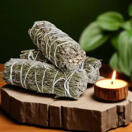 Fagot Sauge et Romarin 10 cm – Purification Énergie Positive