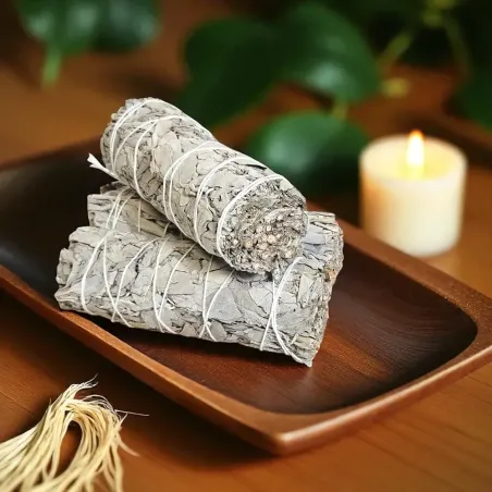 Sauge blanche – Fagot pour purification énergétique douce