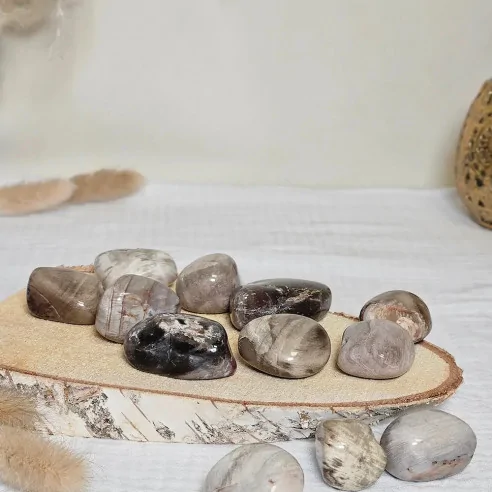 Pierre roulée en bois fossil – Ancrage et connexion