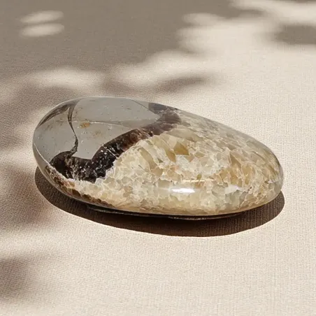 Galet de Septaria – Pierre naturelle pour ancrage émotionnel