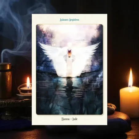 Oracle des Animaux Divins – Laila Del Monte, Messages et Connexion Spirituelle